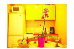 Apartmány Diana Apartmán 4 foto 1