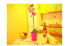 Apartmány Diana Apartmán 4 foto 2