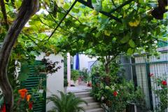 Apartmány Vinea Apartmán 2 – A2 foto 2