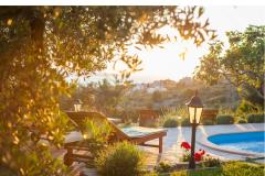 Rustic Oliveto Apartmán 1 – Rustic foto 2