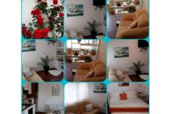 Villa Apartmány Sumić Apartmán 1: (2+3) – GREEN OASE foto 4