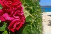 Luxury Villa Marin Apartmány Apartmán 3 – Olea foto 1