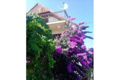 Dům Marino Apartmán 1 foto 2