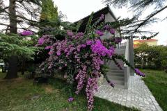 Flowers Apartmán Medulin, Fucane 2 Apartmán 1 – Bugenvilia foto 2