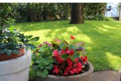 Maena Appartments Apartmán 1 – Cozy foto 4