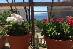 Apartmány Marijana Apartmán 3 foto 1