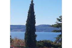 Apartmány Sokolić Apartmán 1 foto 1