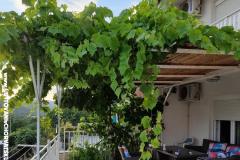 Dům Nada Apartmán 3 – Palma foto 3