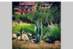 Apartmány Irina-Duće Apartmán 4 foto 1