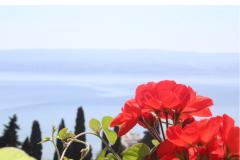 Apartmány Rubić Apartmán 3 – Apartman 4 foto 3