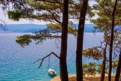 Apartmány Višnja Apartmán 1 – A1 foto 4