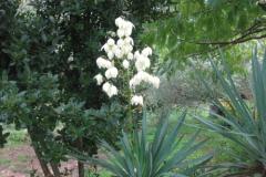 Apartmány Mratović Apartmán 2 foto 6