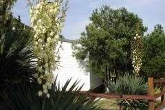 Mobile homes Viganj Apartmán 3 – mob. home3 foto 2