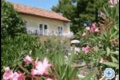 Apartmány Zvonko Apartmán 3 foto 1