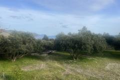 Sun Vila Apartmán 4 – Kuća foto 1