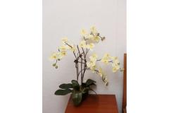 Vila Vida Orebić Apartmán 1 – NARANČA foto 4