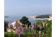 Apartmány Zeljka Apartmán 1 – A foto 4