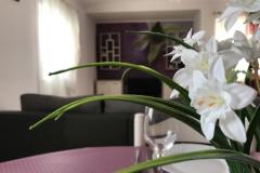 Apartmány Luna Apartmán 4 foto 1