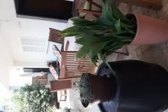 Lola Apartmán 1 foto 2