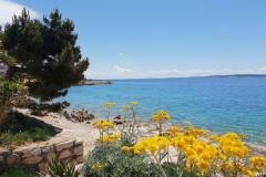 Stargo Apartmány Apartmán 1 – Yellow foto 3