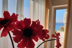 Stargo Apartmány Apartmán 2 – Blue foto 2