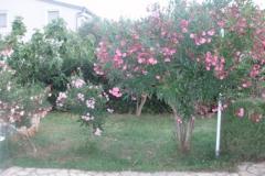 Villa Mirta Apartmán 1 foto 3