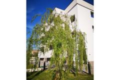 Apartmány Dalmacija Apartmán 2 foto 1