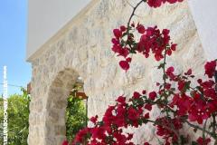 Apartmány Ksenija Apartmán 4 – LEMONE foto 4