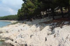 Apartmány Varga Apartmán 3 – AP4 foto 3