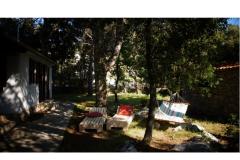 Pine Villa Apartmán 1 foto 2