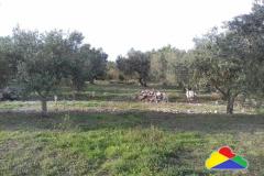 Holiday homes Twins by the sea Pokoj 3 foto 5