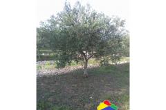 Holiday homes Twins by the sea Pokoj 3 foto 6