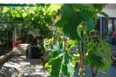 Apartmány Danica Apartmán 1 – APP 1 foto 2