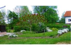 Blazenka Hodak Apartmán 1 foto 3