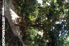 Apartmány Flora Apartmán 1 foto 6