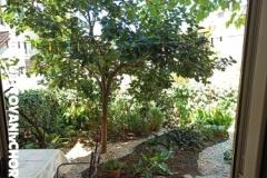 Apartmány Flora Apartmán 2 foto 4