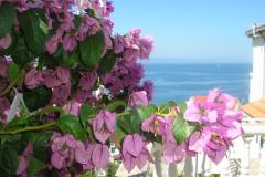 Apartmány Marinovic Apartmán 1 foto 6