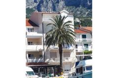 Palm tree apartman Apartmán 1 – Palm tree foto 1