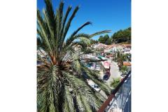 Palm tree apartman Apartmán 2 – Palma foto 1