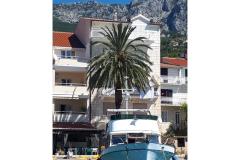 Palm tree apartman Apartmán 2 – Palma foto 2