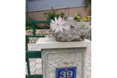 Rako Apartmány Marilka Apartmán 3 foto 1