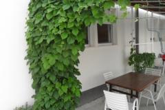 Apartmány Car-Bruna Apartmán 3 – Apartman 5 foto 3