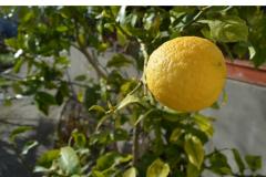 Apartmány Juradin Apartmán 2 foto 4