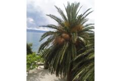 Apartmány Juradin Pokoj 7 foto 3