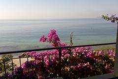 Apartmány Jure Apartmán 2 – apartman1 foto 1