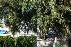 Apartmány 10 metara od mora Apartmán 3 – Ap.3 foto 1