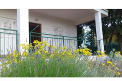 Apartmány vila Diana Apartmán 1 – apartman M foto 2