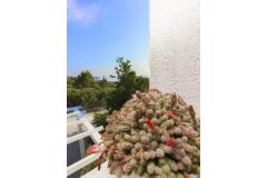 Apartmány Gordana Apartmán 1 – Novi foto 3