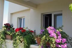 Apartmány 255 Apartmán 2 – STUDIO foto 1