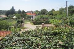 Apartmán Maki Apartmán 1 foto 1